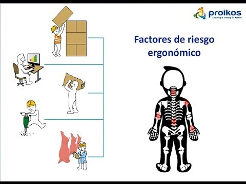 Ergonomía Laboral